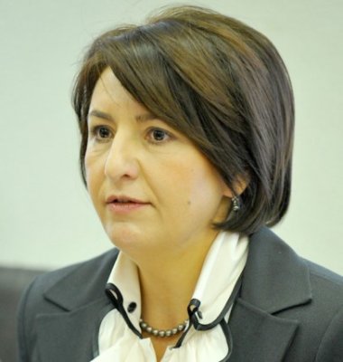 Sulfina Barbu, deputat PDL: